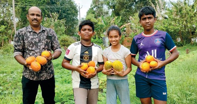 മാ​യി​ത്ത​റ​യി​ലെ പൊ​ൻ​വെ​ള്ള​രി​ച്ച​ന്തം