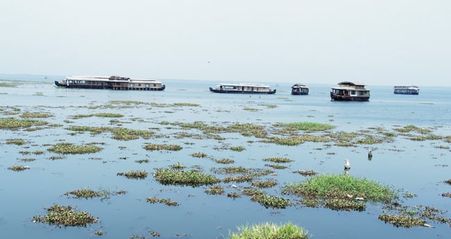 കുപ്പത്തൊട്ടിയായി കായൽ, രോഗാണു സങ്കേതവും