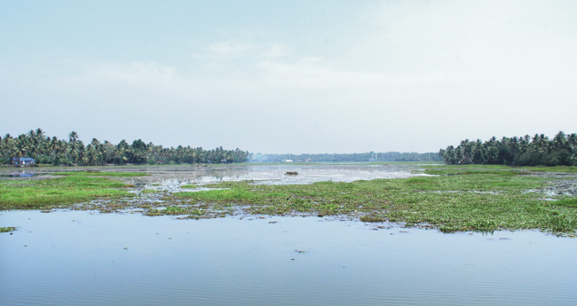 ചാവുകടലാകുമോ നമ്മുടെ വേന്പനാട്?