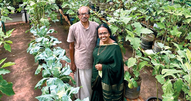 മ​ട്ടു​പ്പാ​വി​ൽ ചെ​ടി​ക​ൾ​ക്കൊ​പ്പം വി​ജ​യ കി​രീ​ടം