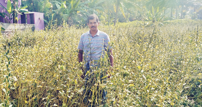 മൂന്നേക്കർ പറയുന്ന യുവമുന്നേറ്റം