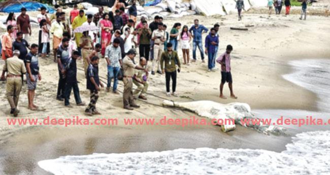 ബീ​ച്ചി​ല്‍ അ​ടി​ഞ്ഞ ആ​ന​യു​ടെ ജ​ഡം സംസ്കരിച്ചു