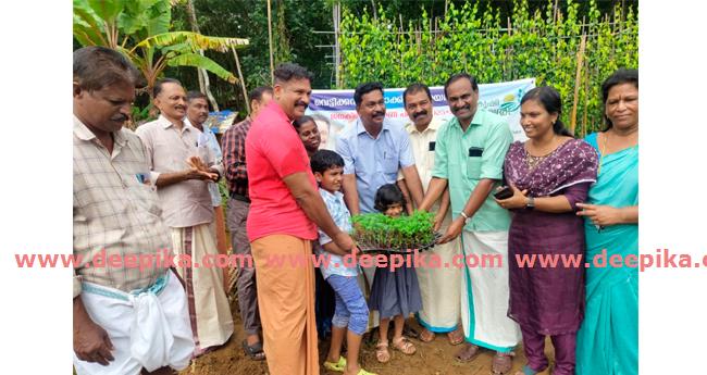ഓ​ണ​ത്തെ വ​ര​വേ​ൽ​ക്കാ​ൻ ചെ​ണ്ടു​മ​ല്ലി കൃ​ഷി