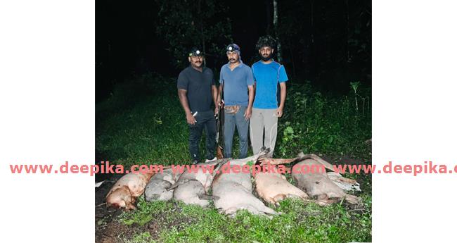 നി​ല​ന്പൂ​രി​ൽ ആ​റ് കാ​ട്ടു​പ​ന്നി​ക​ളെ വെ​ടി​വ​ച്ചു കൊ​ന്നു