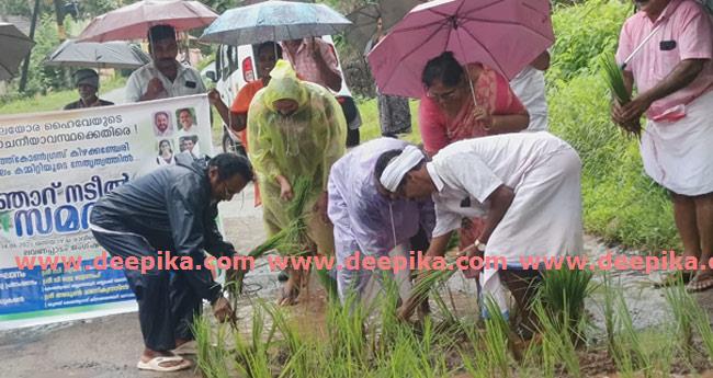 മ​ല​യോ​ര​പാ​ത​യു​ടെ അ​വ​ഗ​ണ​ന​ക്കെ​തി​രെ റോ​ഡി​ലെ കു​ഴി​ക​ളി​ൽ ഞാ​റ് ന​ടീ​ൽ സ​മ​രം