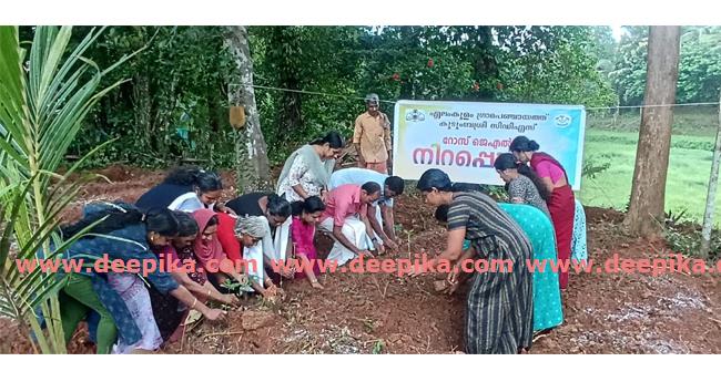 ഏ​ലം​കു​ള​ത്ത് നി​റ​പൊ​ലി​മ​യ്ക്ക് തു​ട​ക്കം