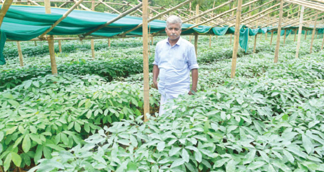 റ​ബ​റി​ൽ പു​തി​യ വി​പ്ല​വം  തീ​ർ​ത്ത് സി​ബി തോ​മ​സ്