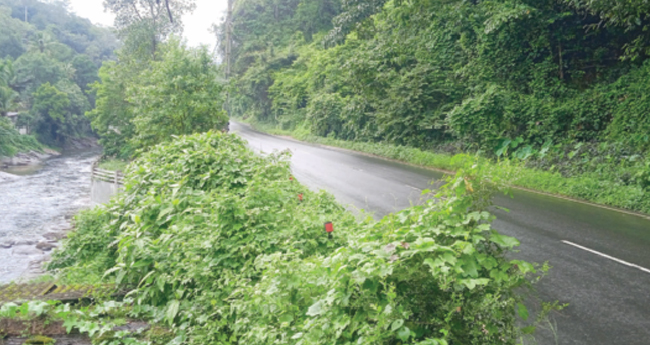 സു​ര​ക്ഷാ​സം​വി​ധാ​ന​മി​ല്ലാ​ത്ത  ദേ​ശീ​യ​പാ​ത; അ​പ​ക​ട​ങ്ങ​ൾ തു‌​ട​ർ​ക്ക​ഥ