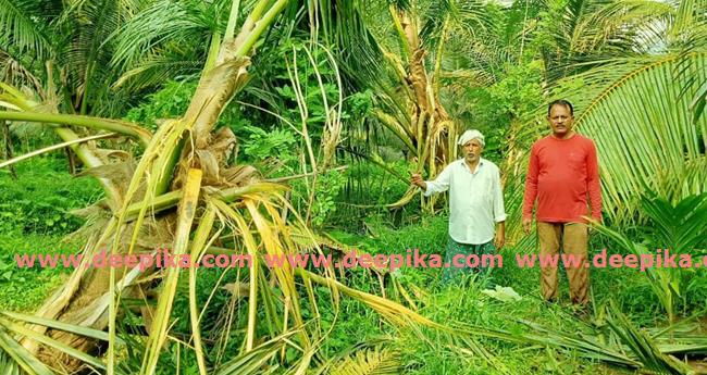 കാ​ട്ടാ​നക്കലി​യ​ട​ങ്ങാ​തെ ക​രി​മ്പാ​റ ക​ൽ​ച്ചാ​ടി മേ​ഖ​ല
