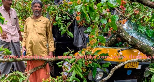 മ​രം വീ​ണ് ഓ​ട്ടോ ത​ക​ർ​ന്നു