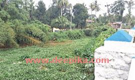 പോ​ള​യും പാ​യ​ലും പെ​രി​ങ്ങ​ര തോ​ട്ടി​ൽ നീ​രൊ​ഴു​ക്ക് നി​ല​ച്ചു