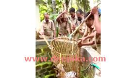കി​ണ​റി​ൽ വീ​ണ ആ​ടി​നെ ര​ക്ഷ​പ്പെ​ടു​ത്തി