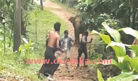 തു​ര​ത്തു​ന്ന​തി​നി​ടെ കാ​ട്ടാ​ന​ക്കൂ​ട്ടം  പാ​ഞ്ഞ​ടു​ത്തത് പരിഭ്രാന്തി പരത്തി
