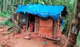 ആദിവാസികൾക്ക് ആ​ന​പ്പേ​ടി​യി​ല്ലാ​തെ അ​ന്തി​യു​റ​ങ്ങാ​നാ​കു​മോ?