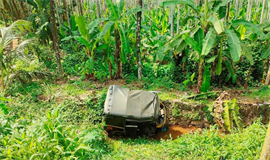 ഓ​ട്ടോ​റി​ക്ഷ നി​യ​ന്ത്ര​ണം വി​ട്ട് താ​ഴ്ച​യി​ലേ​ക്ക് മ​റി​ഞ്ഞു