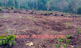 സ്വ​ന്ത​മാ​യി ഭൂ​മി​യും ഫ​ണ്ടും ഉണ്ടായിട്ടും  ആ​ദി​വാ​സി സ്‌​കൂ​ൾ ഇപ്പോഴും വാ​ട​ക കെ​ട്ടി​ട​ത്തി​ൽ