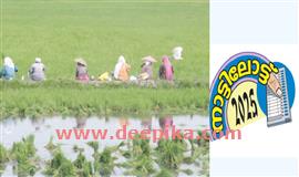 അ​ന്പ​ല​പ്പു​ഴ തെ​ക്ക് പോ​രാ​ട്ടം ഇ​ര​ന്പും