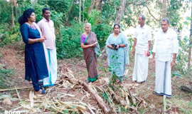 കാ​ള​ങ്ങാ​ലി​യി​ൽ ക​ർ​ഷ​ക​രെ ആശങ്കയിലാക്കി വീ​ണ്ടും കാ​ട്ടാ​ന​ക​ളി​റ​ങ്ങി