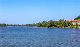 അ​ഷ്ട​മു​ടി​ക്കാ​യ​ലി​ല്‍ മ​ണ്ണെ​ടു​ത്ത ഭാ​ഗം ചെ​ളി​ക്കു​ള​മാ​യി