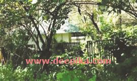 കാ​ടു​ക​യ​റി ഭൂ​ത​ത്താ​ൻ​കെ​ട്ടി​ലെ ക്വാ​ർ​ട്ടേ​ഴ്സു​കൾ