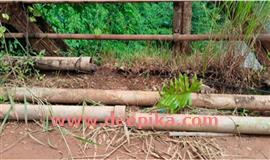 ഉ​ളി​യി​ൽ പാ​ല​ത്തി​ലെ ബി​എ​സ്എ​ൻ​എ​ൽ  കേ​ബി​ൾ കോ​പ്പ​ർ മോ​ഷ​ണം പോ​യി