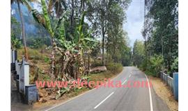 ച​ങ്ങ​നാ​ശേ​രി-​ക​വി​യൂ​ര്‍ റോ​ഡി​ന്‍റെ  ശോ​ച്യാ​വ​സ്ഥ പ​രി​ഹ​രി​ക്ക​ണം