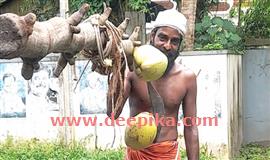 നാ​ളി​കേ​ര ഉ​ത്പ​ന്ന​ങ്ങ​ളു​ടെ വി​ല  കു​തി​ക്കു​ന്നു; തെ​ങ്ങി​ൽ ക​യ​റാ​ൻ ആ​ളി​ല്ല