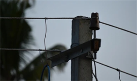 തെ​ങ്ങ് വൈ​ദ്യു​തി തൂ​ണി​ൽ വീ​ണ്  യാ​ത്ര​ക്കാ​ര​ന് പ​രി​ക്കേ​റ്റു