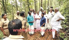 പു​ലിഭീ​തി​യി​ൽ വെ​ച്ചൂ​ച്ചി​റ താ​ന്നി​ക്കാ​പ്പു​ഴ തോ​ട്ടം മേ​ഖ​ല:  ക​ണ്ട​ത് ടാ​പ്പിം​ഗ് തൊ​ഴി​ലാ​ളി;   തെ​ര​ച്ചി​ൽ ന​ട​ത്തി വ​നം​വ​കു​പ്പ്