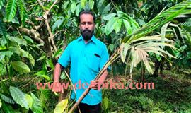 കാട്ടാന ശല്യം രൂക്ഷം : ആശങ്കയൊഴിയാതെ നാട്ടുകാർ : പ​ഞ്ചാ​യ​ത്ത് പ്ര​മേ​യം വെ​റു​തെ​യാ​യി