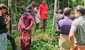 മേ​ലേ കാ​ളി​കാ​വ് ജ​ന​വാ​സ കേ​ന്ദ്ര​ത്തി​ൽ  കാ​ട്ടു​പ​ന്നി​യു​ടെ പാ​തി ഭ​ക്ഷി​ച്ച ജ​ഡം