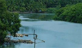 ക​ല്ലാ​യി പു​ഴ​യി​ലെ ചെ​ളി നീ​ക്ക​ല്‍  2026 മാ​ര്‍​ച്ചി​ല്‍ പൂ​ര്‍​ത്തീ​ക​രി​ക്കും