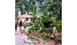 കാ​റ്റി​ൽ ക​രു​വാ​ര​കു​ണ്ട് മേ​ഖ​ല​യി​ൽ ക​ന​ത്ത ന​ഷ്ടം