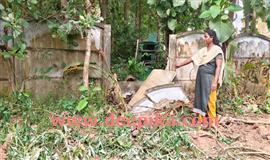 നി​ല​മ്പൂ​ർ  ക​രി​മ്പു​ഴ​യി​ൽ  കാ​ട്ടാ​ന വീ​ട്ടു​മ​തി​ൽ ത​ക​ർ​ത്തു