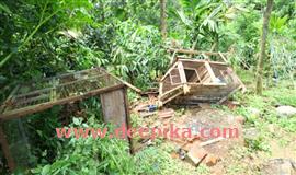 കാട്ടാന ആക്രമണം ; ഭീതിയൊഴിയാതെ  ന​ട​വ​യ​ൽ മേ​ഖ​ല​യി​ൽ കാ​ട്ടാ​ന​ശ​ല്യം രൂക്ഷം