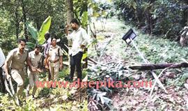 ദേ, കാ​ട്ടാ​ന ഇ​ങ്ങെ​ത്തി ...വ​ട​ശേ​രി​ക്ക​ര ടൗ​ണി​നടുത്തും വിളയാട്ടം; വ്യാപകമായി കൃഷി നശിപ്പിച്ചു