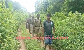 നാ​ടി​റ​ങ്ങി​യ കാ​ട്ടാ​ന​യെ  കാ​ടു ക​യ​റ്റാ​ൻ വ​ന​പാ​ല​ക​ർ