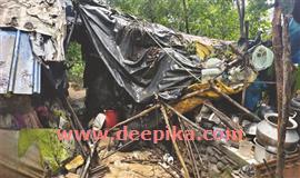 കോ​ട്ട​പ്പ​ടി​യി​ൽ കാട്ടാ​ന  കുടി​ല്‍ ത​ക​ര്‍​ത്തു