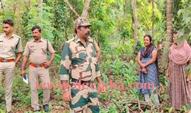 കു​ള​ത്തൂ​പ്പു​ഴ കളങ്കുന്നിൽ  ക​ടു​വ​യു​ടെ സാ​ന്നി​ധ്യം