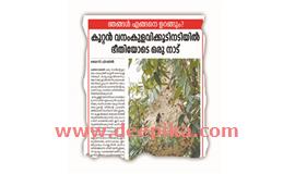 മാ​​ട​​പ്പ​​ള്ളി​​യി​​ലെ വ​​നം​​കു​​ള​​വിക്കൂ​​ട്: പ​​ഞ്ചാ​​യ​​ത്ത് ഇ​​ട​​പെ​​ട്ടു