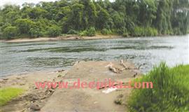 ‘കു​ട്ട​ന്പു​ഴ ബം​ഗ്ലാ​വ് ക​ട​വി​ൽ പാ​ലം നി​ർ​മി​ക്ക​ണം’