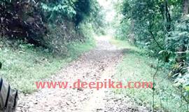 ആ​ലു​വ-മൂ​ന്നാ​ർ രാ​ജ​പാ​ത തു​റ​ക്ക​ണം ;  ക​ണ്ണു തു​റ​പ്പി​ക്കാ​ൻ മാ​ങ്കു​ള​ത്ത്   പ്ര​ത്യേ​ക ഗ്രാ​മ​സ​ഭ ഇ​ന്ന്