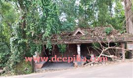 മെ​ഡി​ക്ക​ൽ കോ​ള​ജ് ജി​വി​എ​ച്ച്എ​സ്എ​സി​ലെ മൈ​താ​ന പ​രി​സ​രം കാ​ടുക​യ​റി​യ നി​ല​യി​ൽ