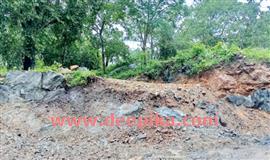നാ​ര​ങ്ങാ​ന​ത്ത് റ​വ​ന്യു, വ​നംവ​കു​പ്പ് സം​യു​ക്ത പ​രി​ശോ​ധ​ന