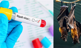 നി​പ്പ: അ​നാ​വ​ശ്യ ആ​ശു​പ​ത്രി സ​ന്ദ​ര്‍​ശ​നം ഒ​ഴി​വാ​ക്ക​ണം