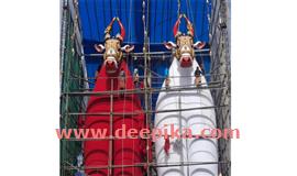 ഓ​ച്ചി​റ കാ​ള​കെ​ട്ടു​ത്സ​വം ഇ​ന്ന്