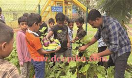 വ​ലി​യ​വി​ള ബി​എം എ​ല്‍​പി സ്കൂ​ളി​ല്‍ പച്ചക്കറി വിളവെടുപ്പ്