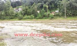 പ​മ്പാ​ന​ദി​യു​ടെ ആ​ഴം കു​റ​ഞ്ഞു; പ്ര​ള​യം  ക്ഷ​ണി​ച്ചു​വ​രു​ത്തി ചെ​ളി​യും തു​രു​ത്തു​ക​ളും