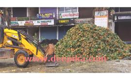 പ​ഴു​ത്തു​പോ​യ പൈ​നാ​പ്പി​ൾ  വി​പ​ണി​യി​ൽ കു​ന്നു​കൂ​ടു​ന്നു