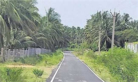 നെ​ന്മാ​റ നി​യോ​ജ​ക​മ​ണ്ഡ​ല​ത്തി​ലെ  മ​ല​യോ​ര ഹൈ​വേ ഇ​ല്ലാ​താ​കു​ന്നു